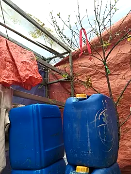 Snapshot of liu-liusexy chatting on 19, 2, 2026 liu-liusexy online show from 19, 2, 2026