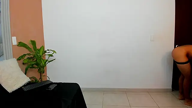  online show from 14, 11, 2025