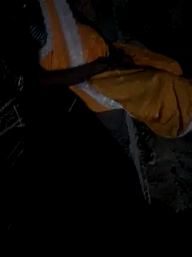 parmila203 online show from 2, 4, 2026