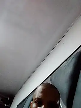 Perropa online show from 25, 2, 2026