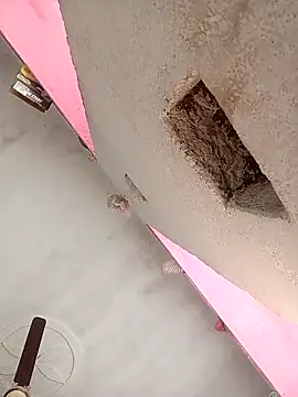 Payal950 online show from 7, 2, 2026