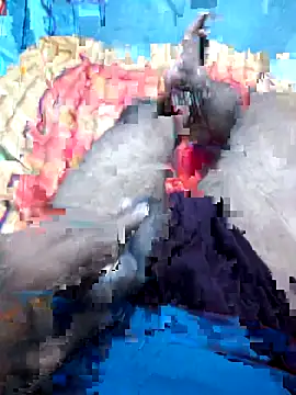 Snapshot of Hyd-bad-boy-25 chatting on 27, 9, 2025 Hyd-bad-boy-25 online show from 27, 9, 2025