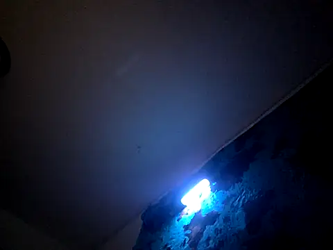 Bigdickdavis6969 online show from 15, 2, 2026