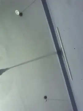 Snapshot of GirlsCrush_ chatting on 29, 9, 2025 GirlsCrush online show from 29, 9, 2025