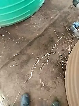 Snapshot of BigboyDick2 chatting on 20, 10, 2025 BigboyDick2 online show from 20, 10, 2025