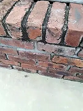 Snapshot of BigboyDick2 chatting on 14, 11, 2025 BigboyDick2 online show from 14, 11, 2025