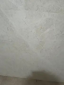 bigdick lickingexpert08 online show from 7, 3, 2026