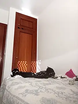 oscartres online show from 2, 11, 2025