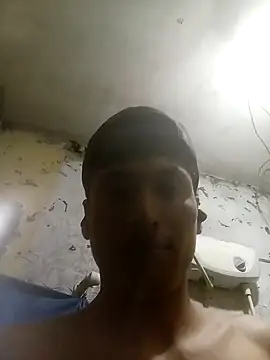 Bebicho14 online show from 8, 11, 2025