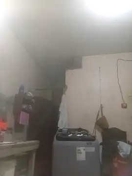 Bebicho14 online show from 20, 3, 2026