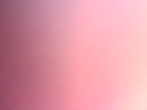 Dropdingo online show from 13, 11, 2025