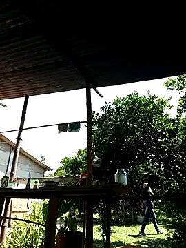 Snapshot of AlphaAlterX chatting on 2, 10, 2025 AlphaAlterX online show from 2, 10, 2025