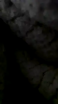 Snapshot of LanaAce719 chatting on 13, 10, 2025 LanaAce719 online show from 13, 10, 2025