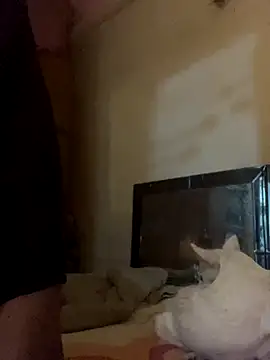 Kajal-Shemale69 online show from 17, 11, 2025