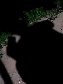 Sapna cutt online show from 10, 9, 2025