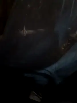 Sapna cutt online show from 17, 9, 2025