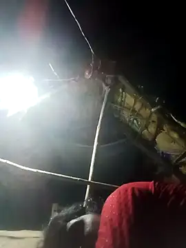 Sapna cutt online show from 25, 9, 2025