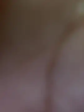 aninha21 online show from 2, 12, 2025