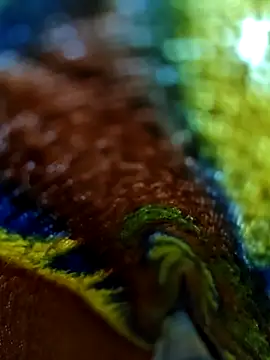 Chanti8096 online show from 4, 12, 2025