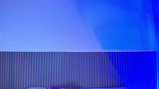 Alana 333 online show from 17, 2, 2026