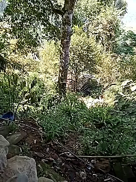 Snapshot of xinhxinhcute chatting on 17, 9, 2025 xinhxinhcute online show from 17, 9, 2025