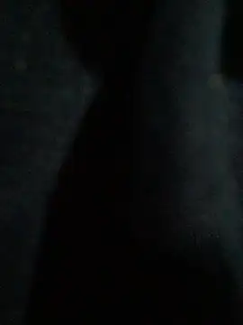 hmleonardo online show from 15, 4, 2026