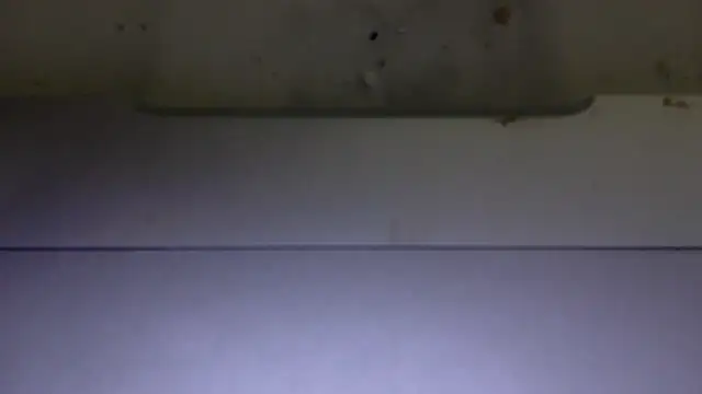 edger4lif3 online show from 15, 11, 2025