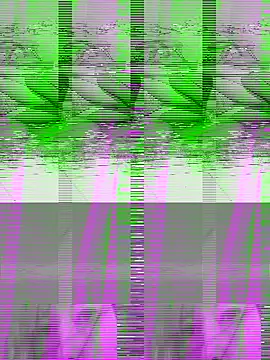 Snapshot of couple2612 chatting on 7, 10, 2025 couple2612 online show from 7, 10, 2025