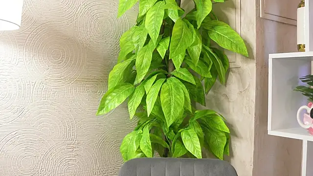 MarlinVarian online show from 9, 9, 2025