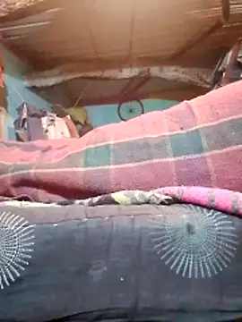 CUTE-004 online show from 5, 1, 2026