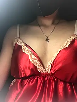 Bee hunter online show from 8, 9, 2025