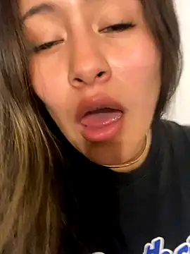 leil 6680 online show from 16, 11, 2025