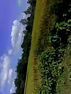 Snapshot of bigdaddyboy46 chatting on 5, 11, 2025 bigdaddyboy46 online show from 5, 11, 2025