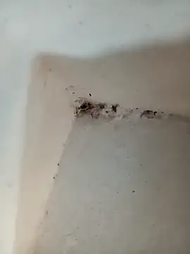 Snapshot of Punam_jindal chatting on 7, 10, 2025 Punam jindal online show from 7, 10, 2025