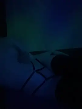 Snapshot of gjollyros chatting on 18, 2, 2026 gjollyros online show from 18, 2, 2026