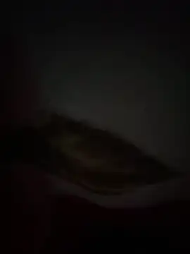 Flash356 online show from 24, 2, 2026