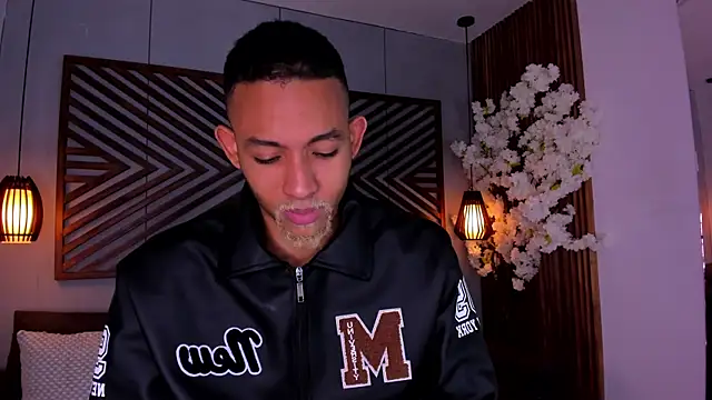 B Wild online show from 11, 11, 2025