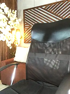 B Wild online show from 14, 11, 2025