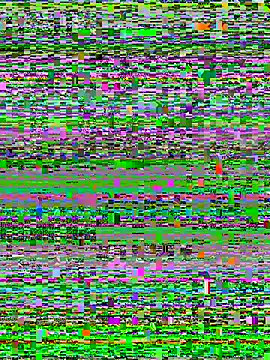 luzmelzinha online show from 3, 5, 2026