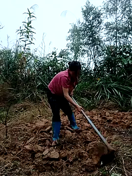 kemtuoi-sex online show from 31, 10, 2025