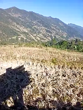 kemtuoi-sex online show from 30, 11, 2025