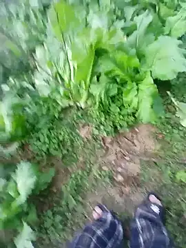 kemtuoi-sex online show from 17, 1, 2026