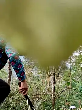 kemtuoi-sex online show from 11, 4, 2026