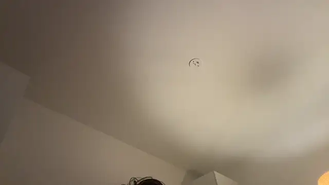 Swedishfish69 online show from 8, 2, 2026