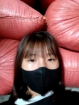 kata-00 online show from 9, 10, 2025