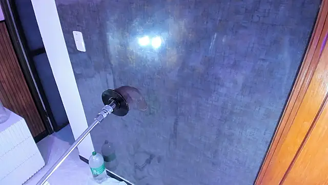 alana glasses online show from 5, 3, 2026