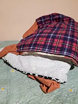 Ansiasex online show from 17, 11, 2025