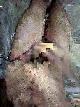 ash706339 online show from 19, 9, 2025