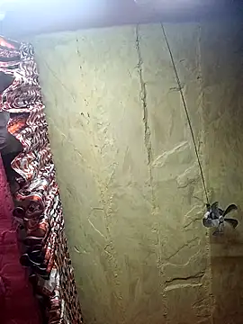 Suman ji1 online show from 27, 11, 2025