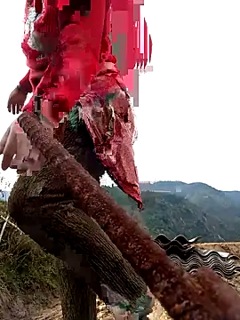 Snapshot of SSexykute3456 chatting on 24, 11, 2025 SSexykute3456 online show from 24, 11, 2025